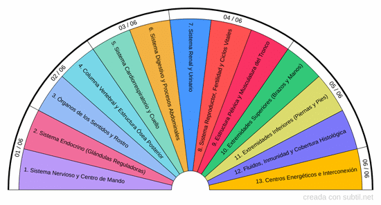 Guia graficos anatomía humana y energética