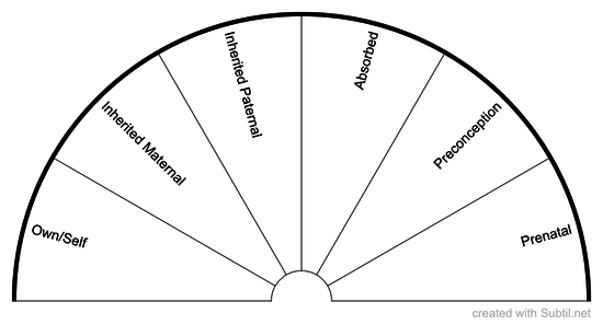 Origin of trapped emotions 