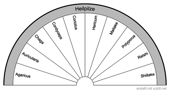 Heilpilze