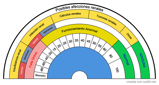 Evaluación Renal