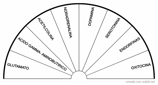 Neurotrasmisores del cerebro