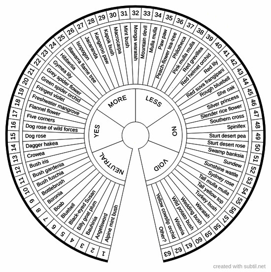 Australian Bush flowers (48)