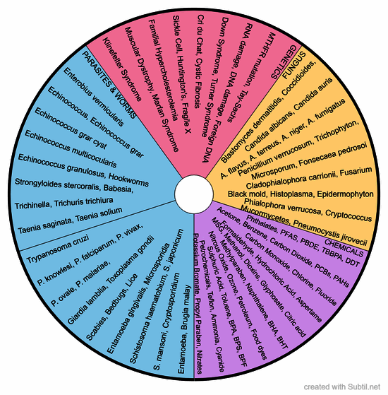 Physical challenges 1