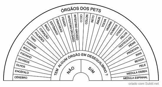 Órgãos do pets