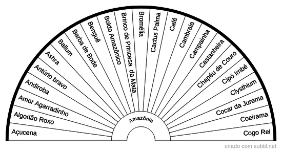 Floral da Amazônia