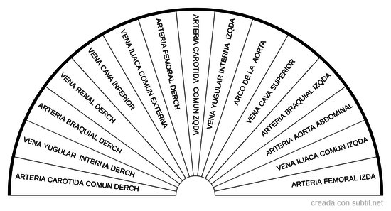 Sistema circulatorio