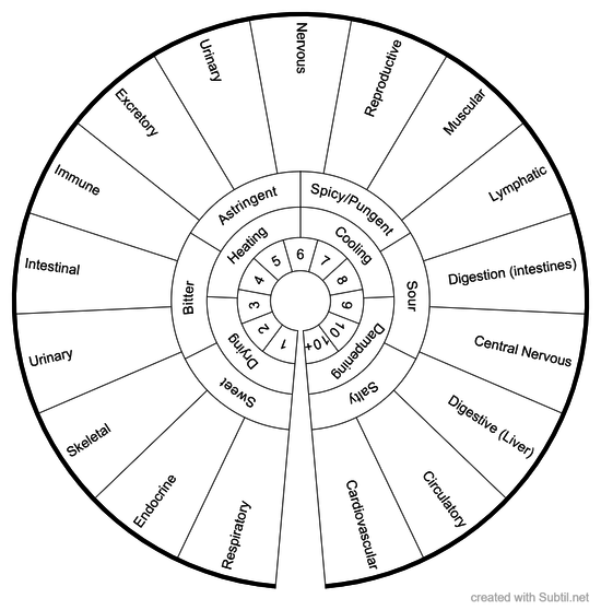 Which Herb for Which Body Part