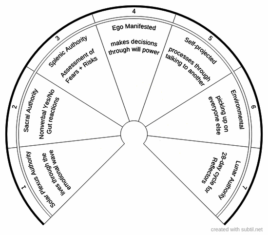 Human design authority types
