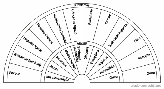 Causas e problemas relacionados ao fígado