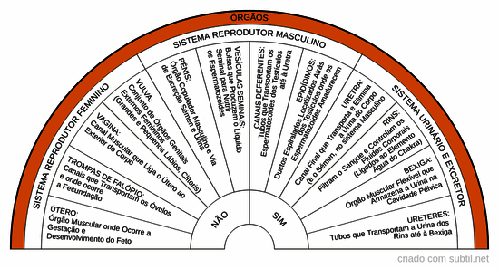 Chakra sacro