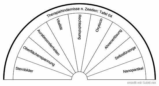 Test 04 therapiehindernisse n. zeeden