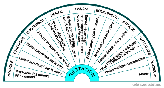 Gestation