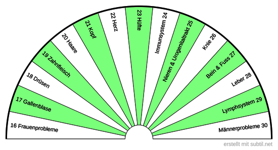 2  Sanjeevini  Körper BPS  16 - 30