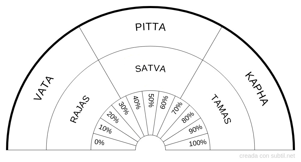 Doshas y Gunas Ayurveda