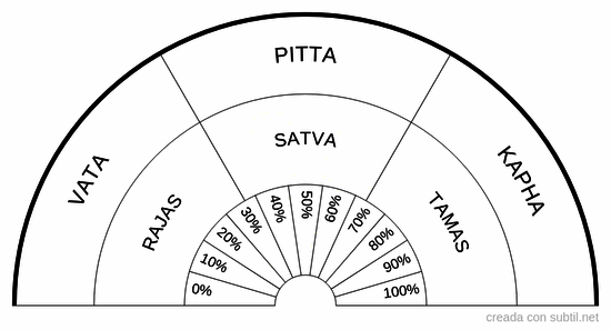 Doshas y Gunas Ayurveda