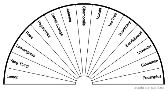 Aceites esenciales estuchenegro