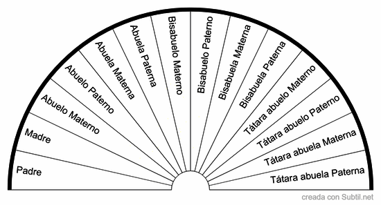 Constelaciones familiares