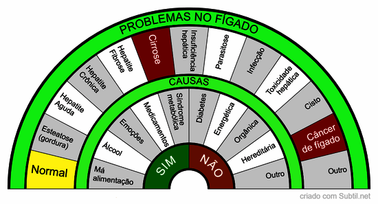 Fígado causas e problemas relacionados