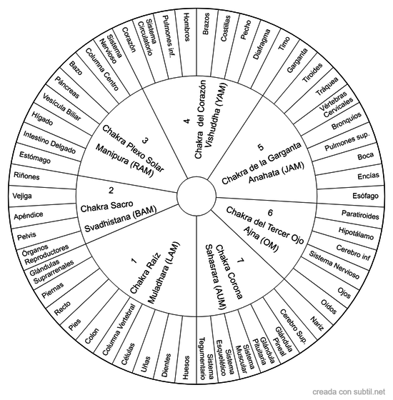 Chakras y örganos