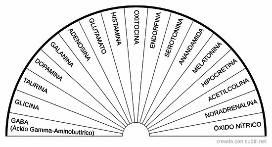 Producción, distribución, absoción y eliminación de neurotransmisores