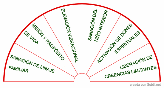 Campos de activación