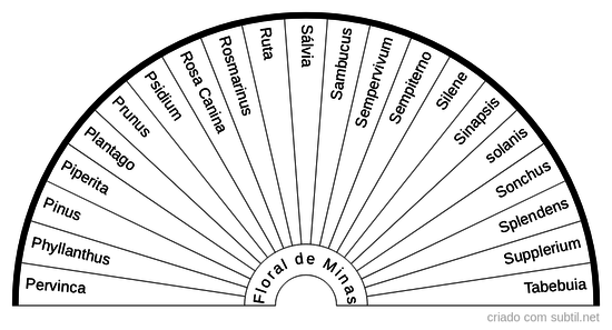Floral de Minas