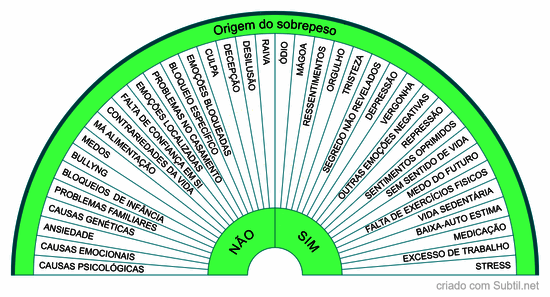 Qual a origem do sobrepeso?