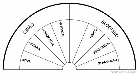 Chakras - Cisões e bloqueios