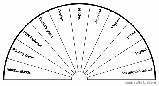 Endocrine glands