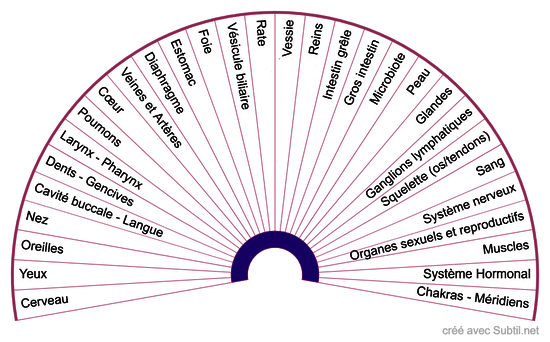 Organes