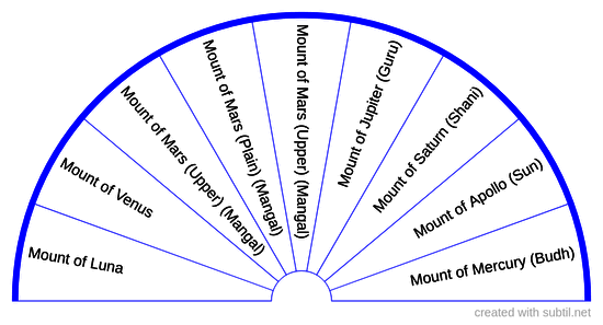 Diseases Controlled by the Mounts on Palm