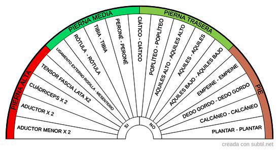 Par biomagnetismo - Miembros - pierna