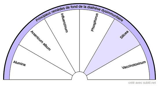 Diathèses homéopathiques - 9 (Dysimmunitaire)