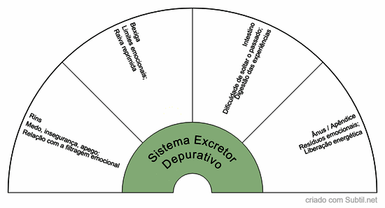 Sistema excretor / depurativo