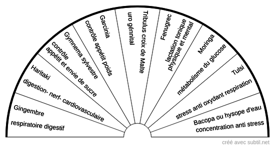 Ayurveda 2