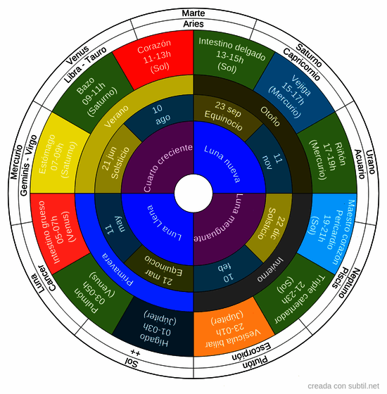 Healy - natural cycle