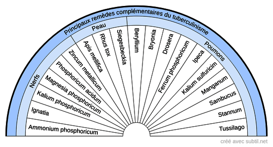 Diathèses homéopathiques - 8 B (Tuberculinisme)