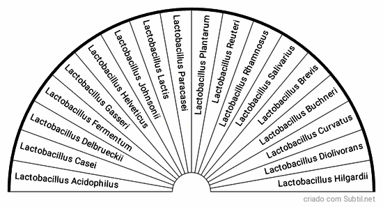 Lactobacillus