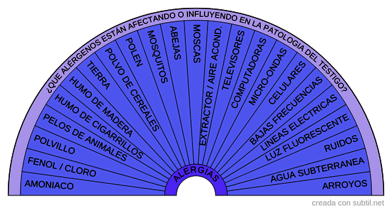 6. Alergias y efectos adversos