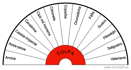 Curando as emoções negativas com plantas - culpa