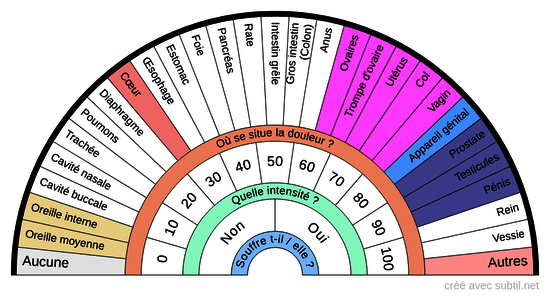 Anatomie - Organes 