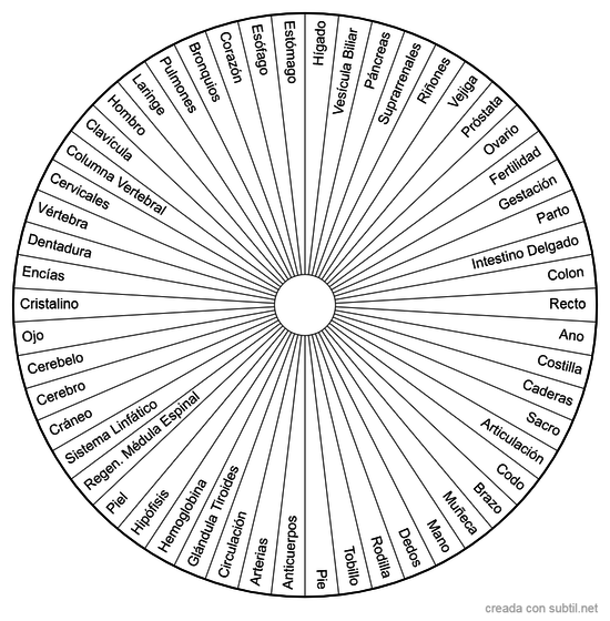 Anatomía 1