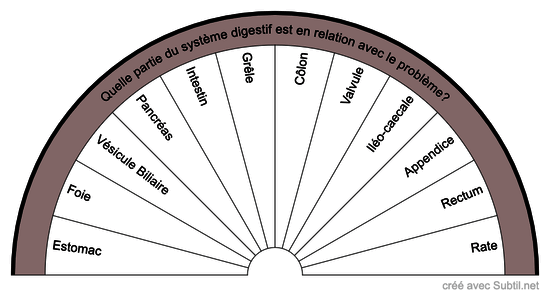 Système digestif 