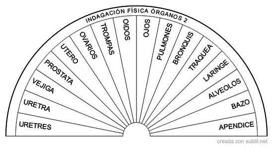 Grafico indagacion fisica organos 2