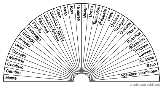 Órgãos