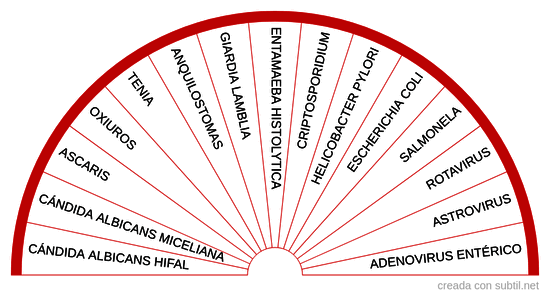 Parásitos, bacterias, virus y hongos intestinales