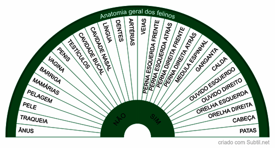 Anatomia geral dos felinos