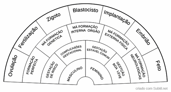 Gestação 