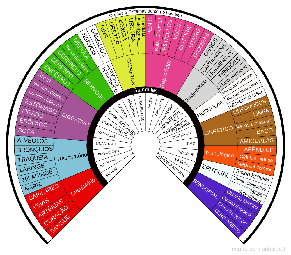 Órgãos, sistemas e Glândulas dos corpo humano