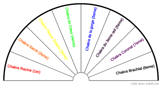 Les 8 chakras des animaux